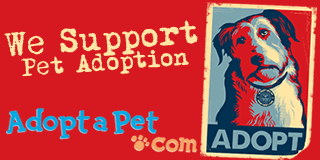 We  Support Pet Adoption