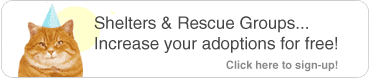 Shelters & Rescue Groups... Increase your adoptions for free!