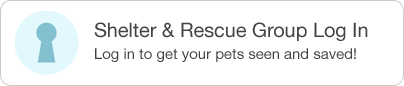 Shelter & Rescue Group Log In - Log in to get your pets seen and saved!